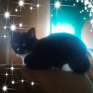 Meet your Posher, Nancy